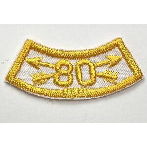 2.5" NAA JOAD Junior Olympic Archery USA Camp Program Club Yellow 80 Arrow PATCH